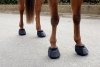 Buty dla konia - Covalliero
